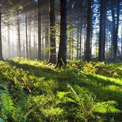 威尼斯游戏网站官网