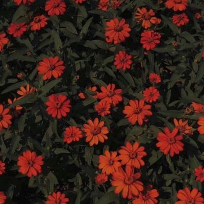 能下钱的打鱼游戏