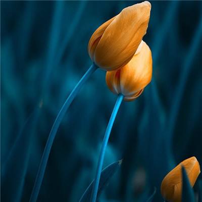 美高梅网址手机app下载